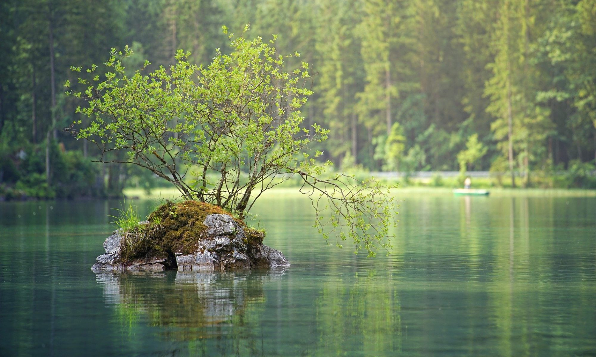 Helsinki Countryside